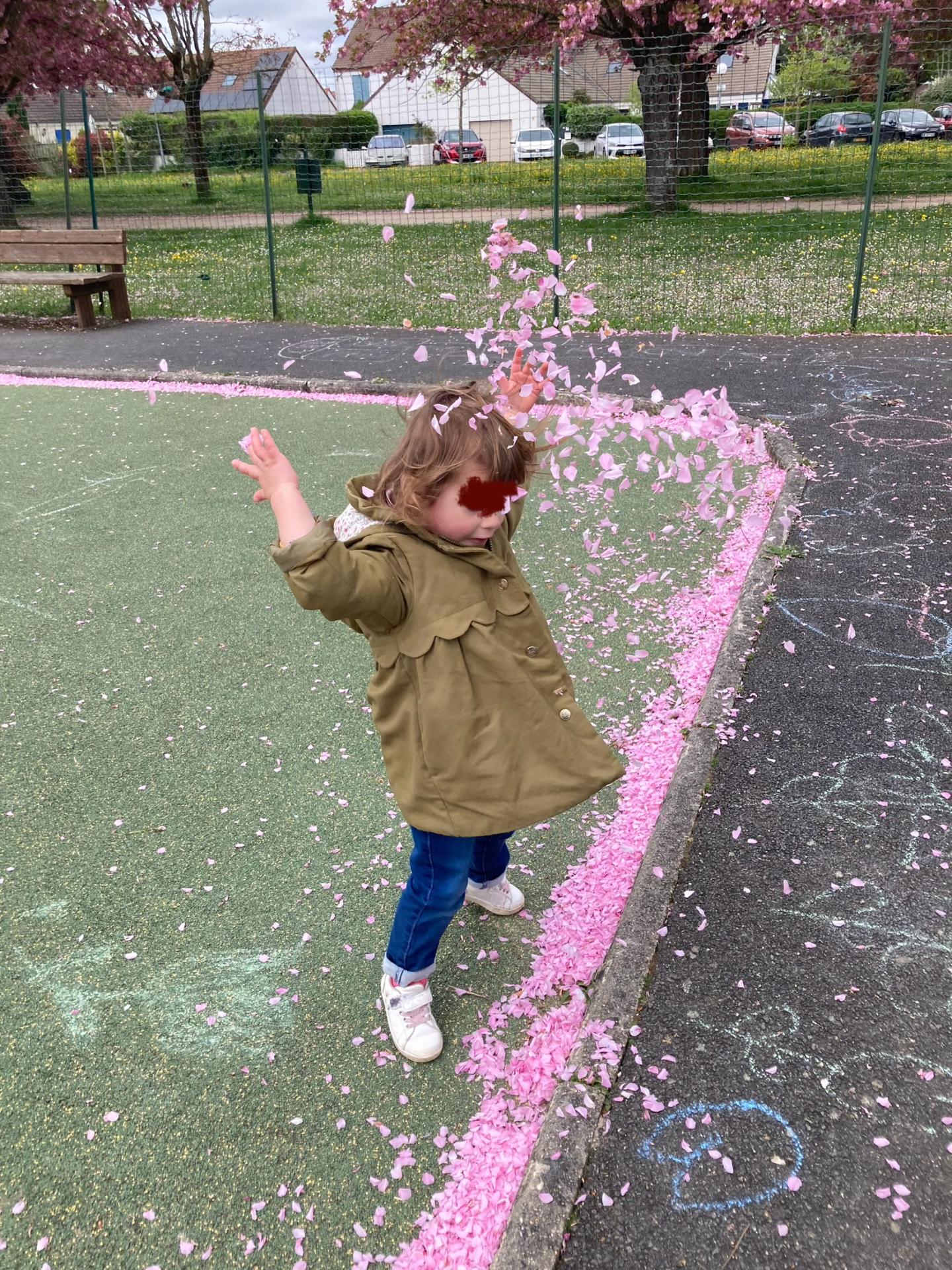 Img 0619