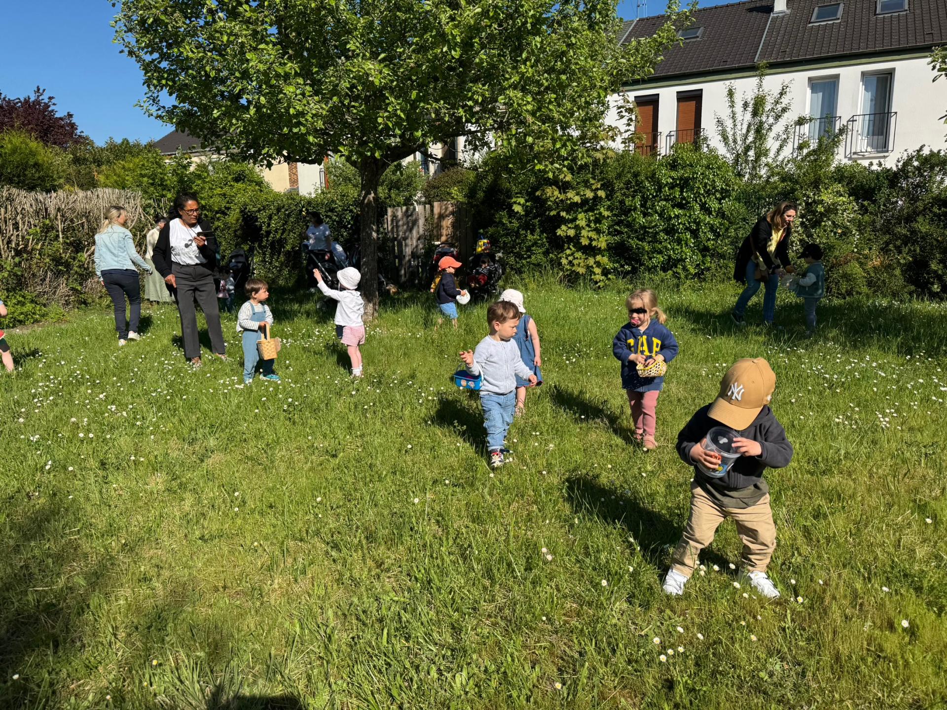 Img 1731