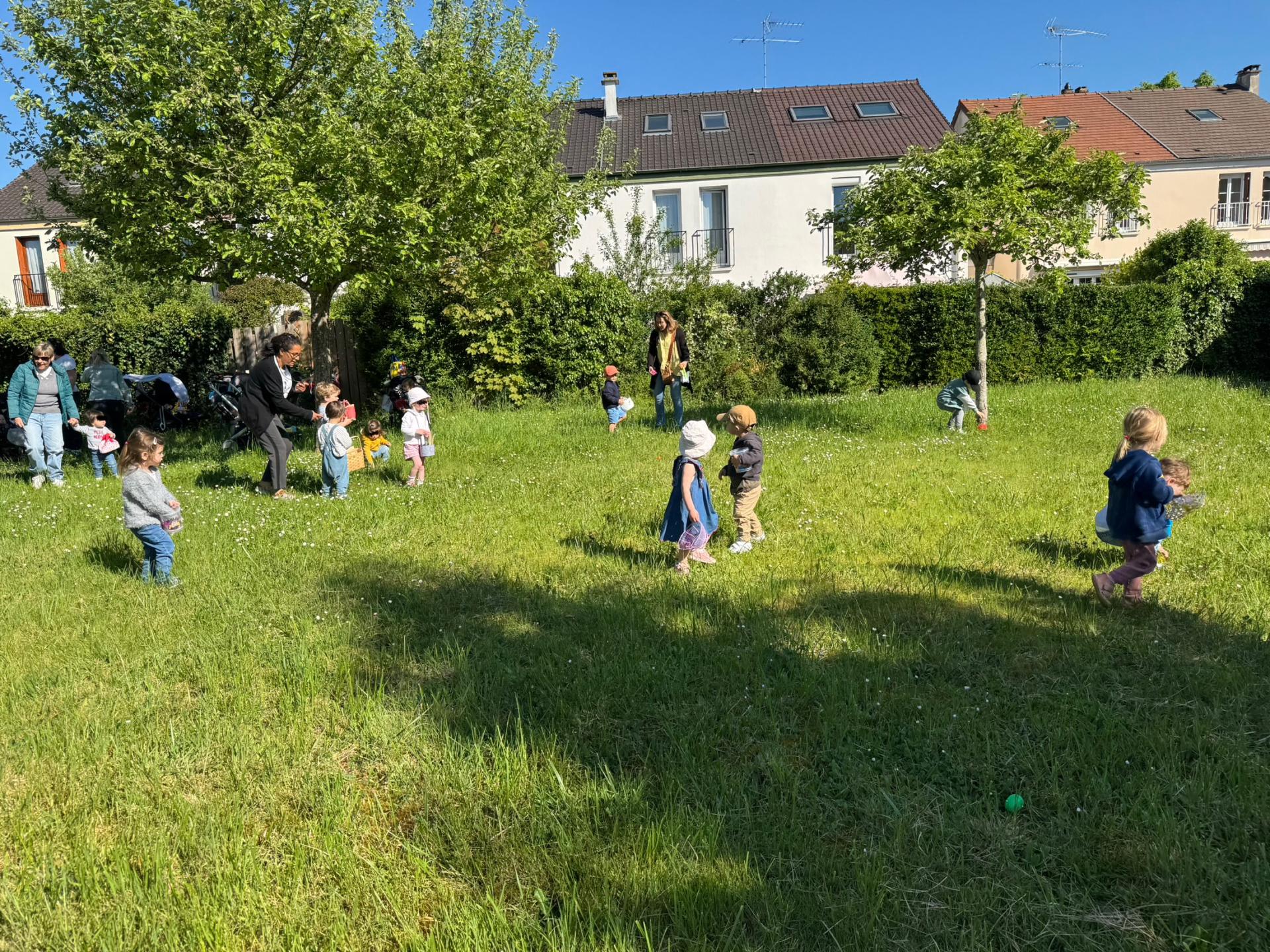 Img 1732