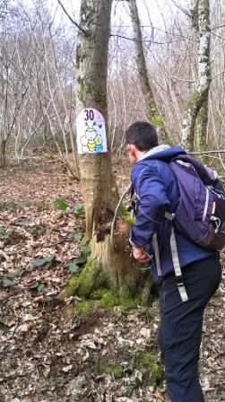 Trailauffargisw2